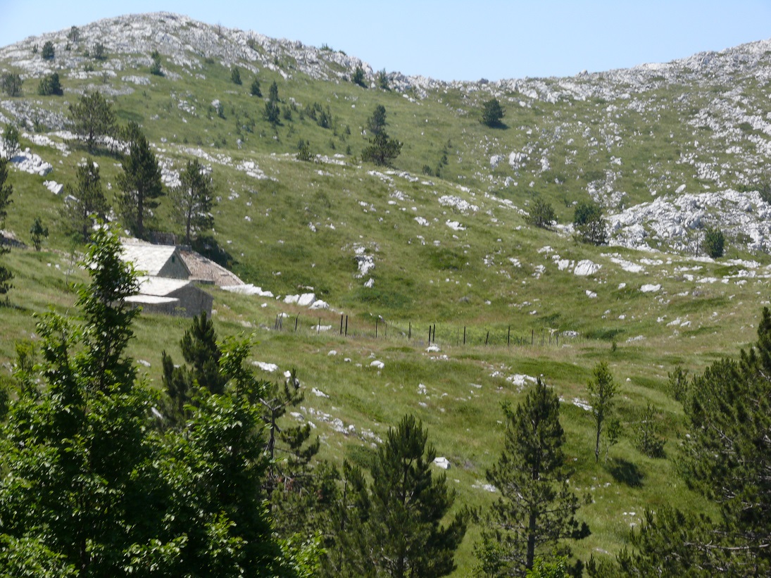 Wakacje 2015 Chorwacja 161.JPG Wakacje 2015 Chorwacja 161.JPG