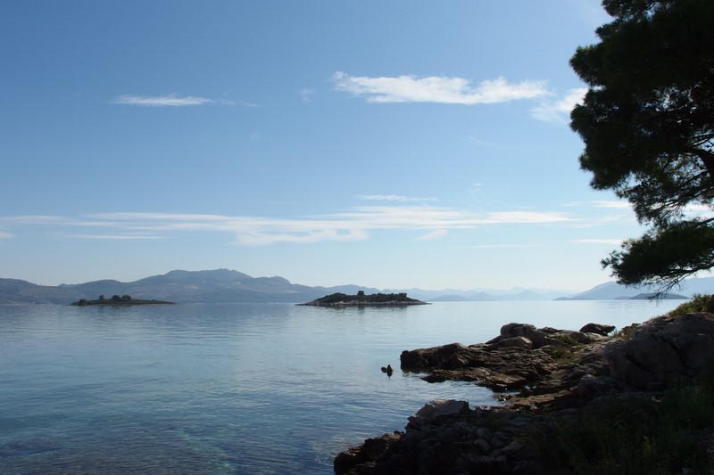 P9231276 (Kopiowanie).JPG