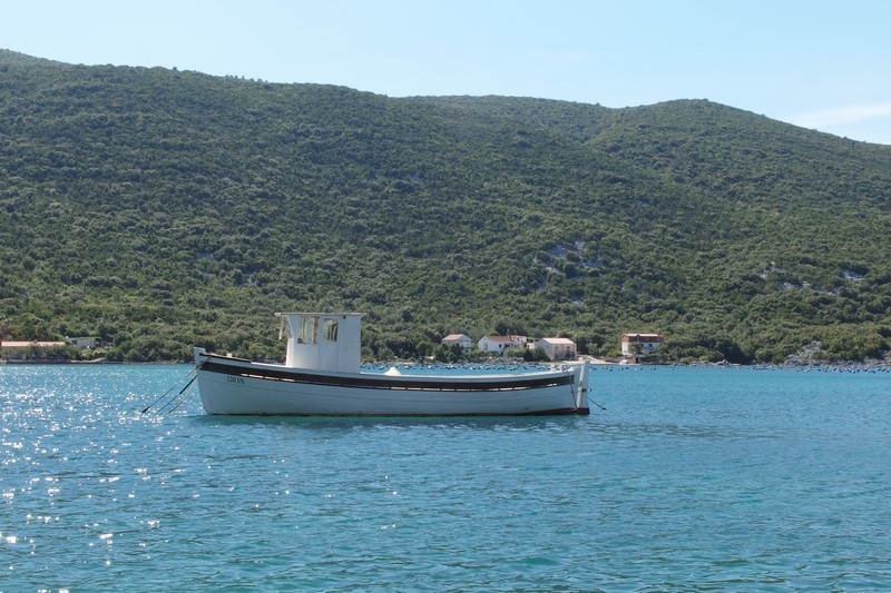 P9231309 (Kopiowanie).JPG