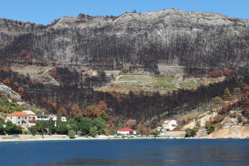 P9231355 (Kopiowanie).JPG