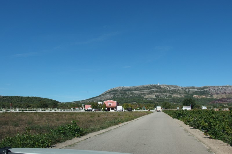 P9231358 (Kopiowanie).JPG