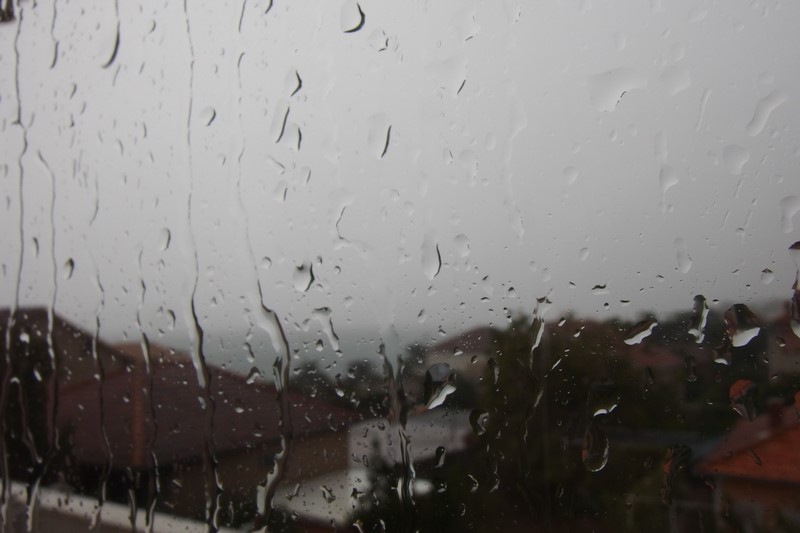 P9241383 (Kopiowanie).JPG