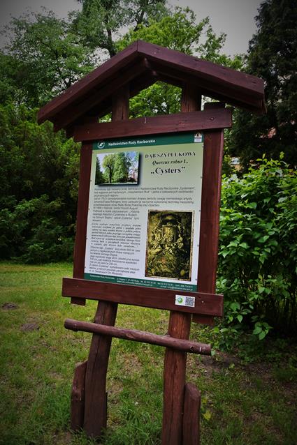 Cysters tablica.JPG