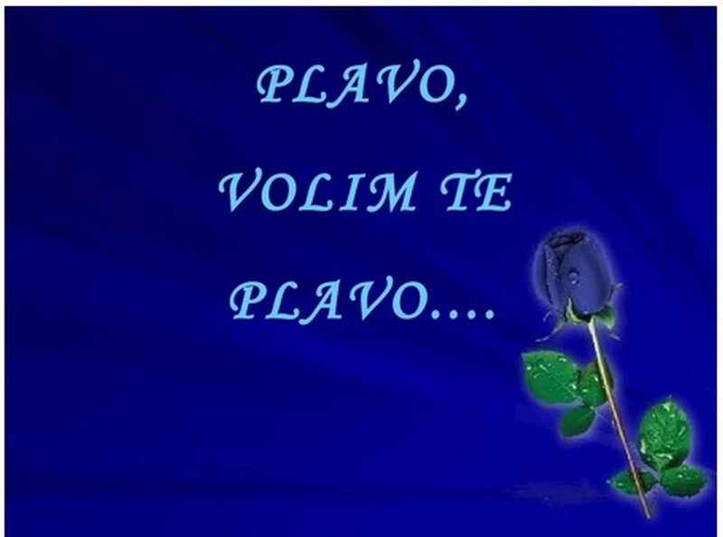 plavo.jpg