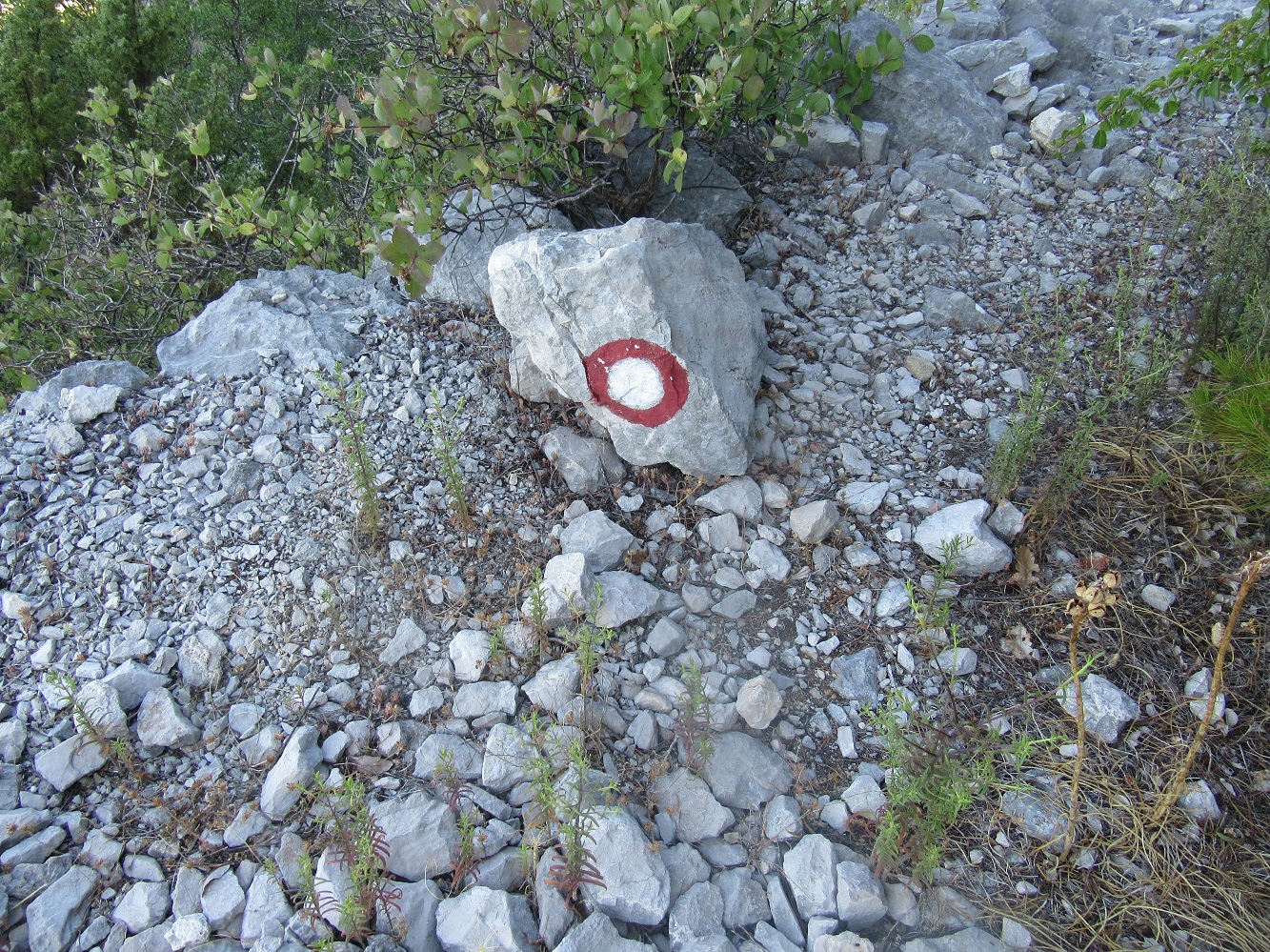 Jedno z oznaczeń / IMG_0516.jpg IMG_0516.jpg