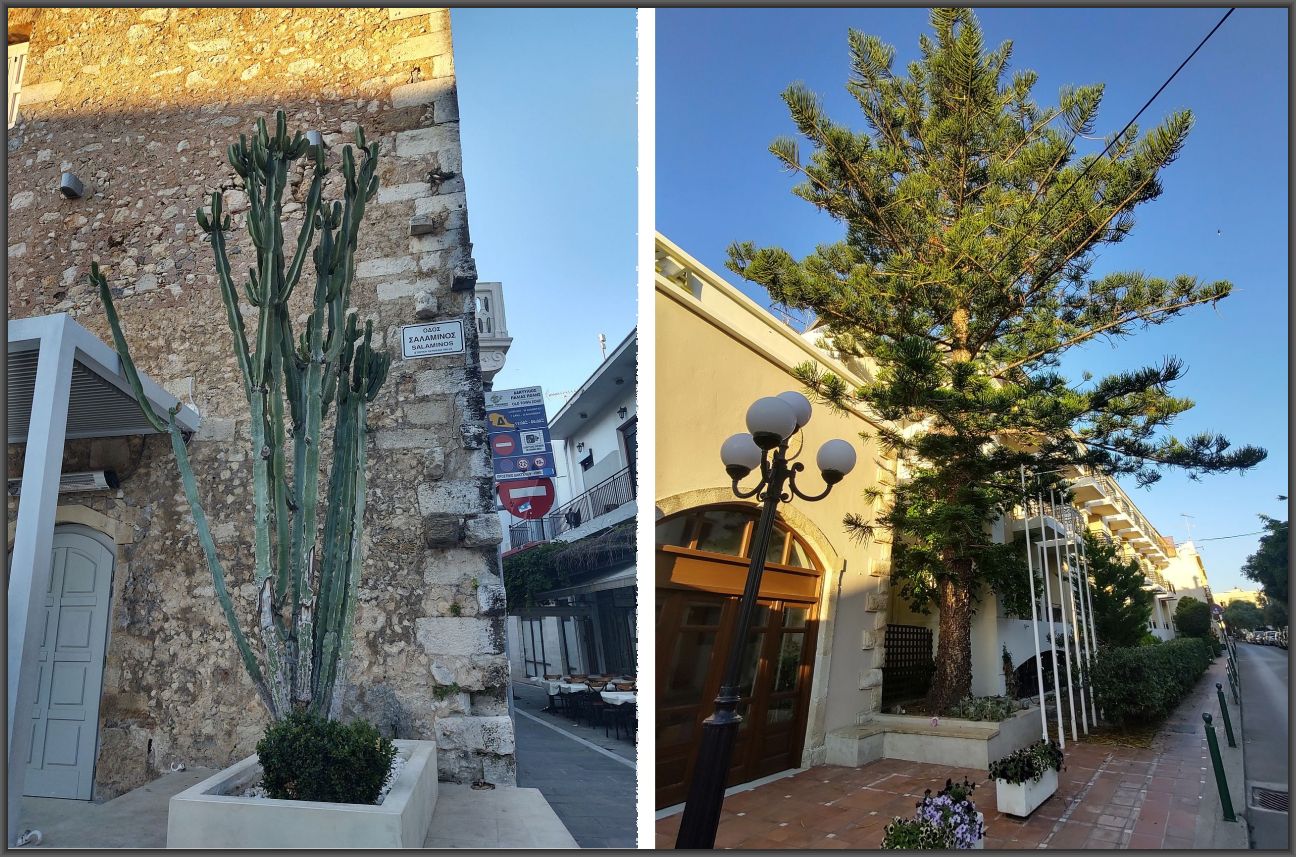 IMG_20210617_065153099_HDR k3.jpg