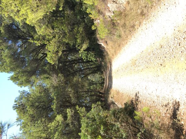 IMG_6330.JPG IMG_6330.JPG