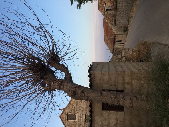 IMG_6441.JPG IMG_6441.JPG