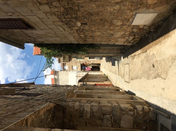 IMG_6454.JPG IMG_6454.JPG