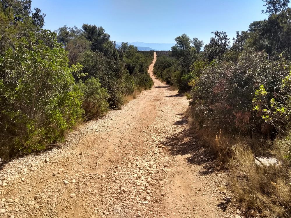 IMG_20220718_104309765_HDR (2) (Copy).jpg