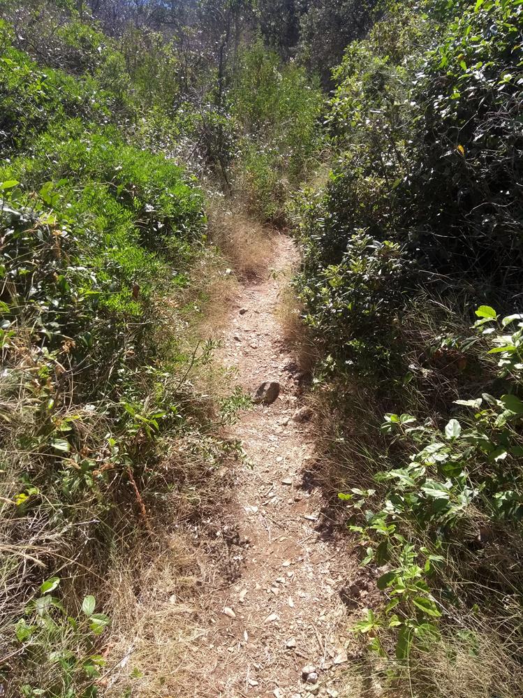 IMG_20220718_114725656 (2) (Copy).jpg