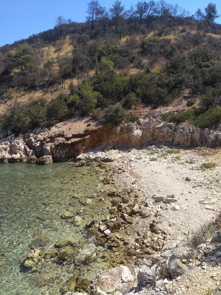 IMG_20220718_111204879 (2) (Copy).jpg