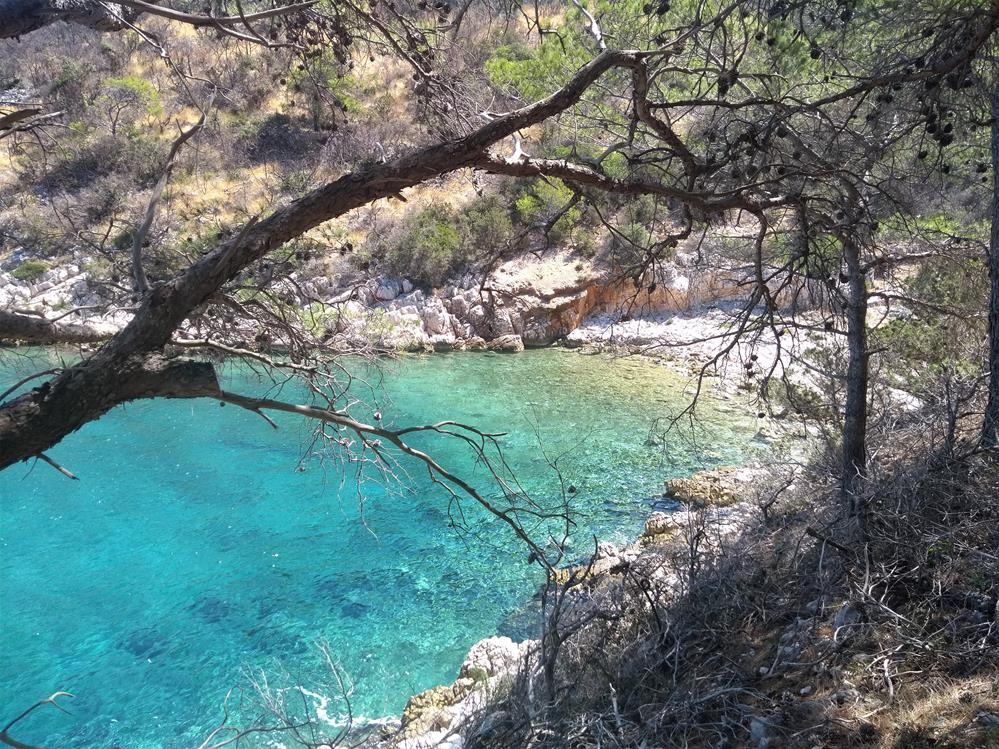 IMG_20220718_111242547 (2) (Copy).jpg