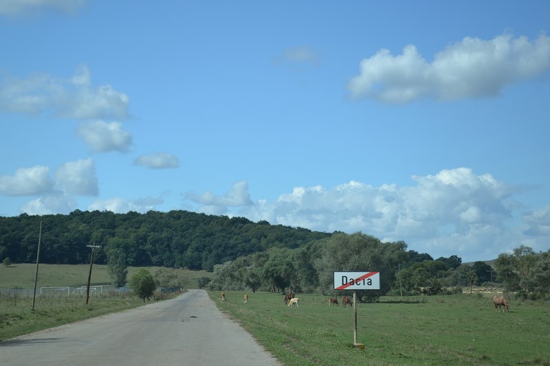 DSC_0358 (Kopiowanie).JPG