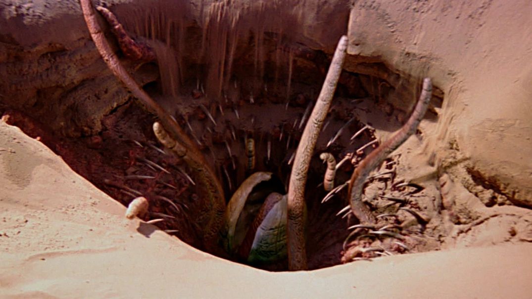 Sarlacc_von_Tatooine.jpg