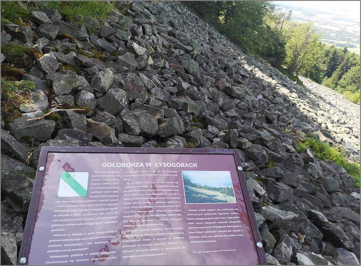 7-IMG_20220618_144947.jpg 7-IMG_20220618_144947.jpg