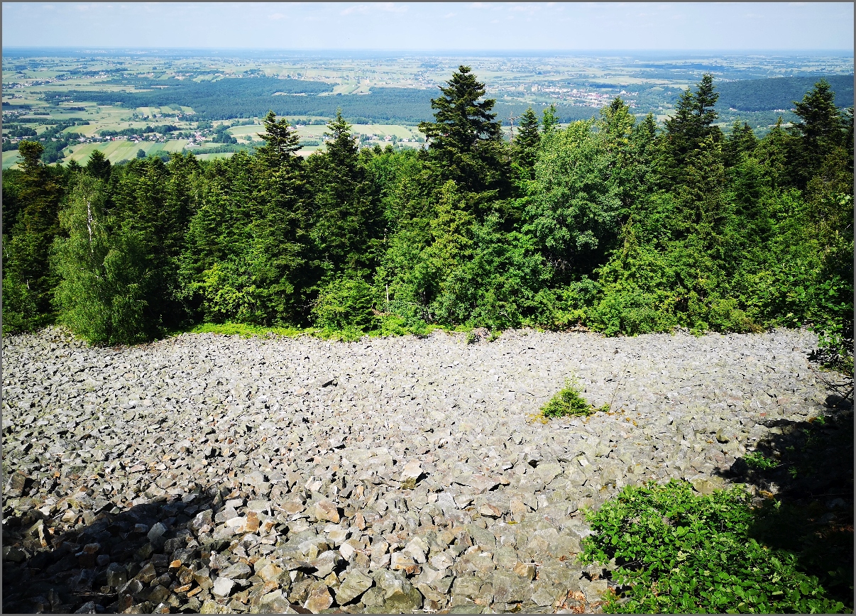 8-IMG_20220618_144414_1.jpg 8-IMG_20220618_144414_1.jpg