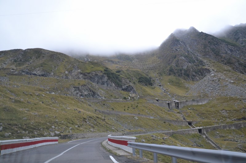 DSC_0613 (Kopiowanie).JPG