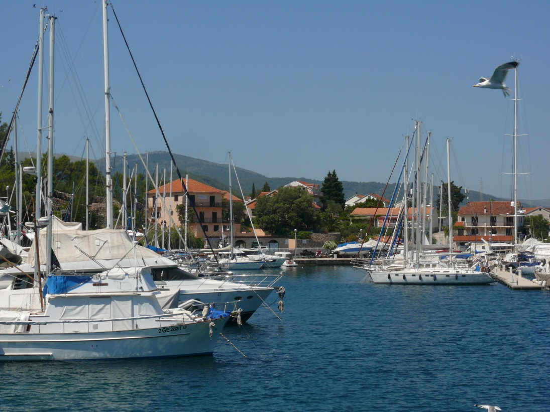 fischpiknik croatia 160.JPG