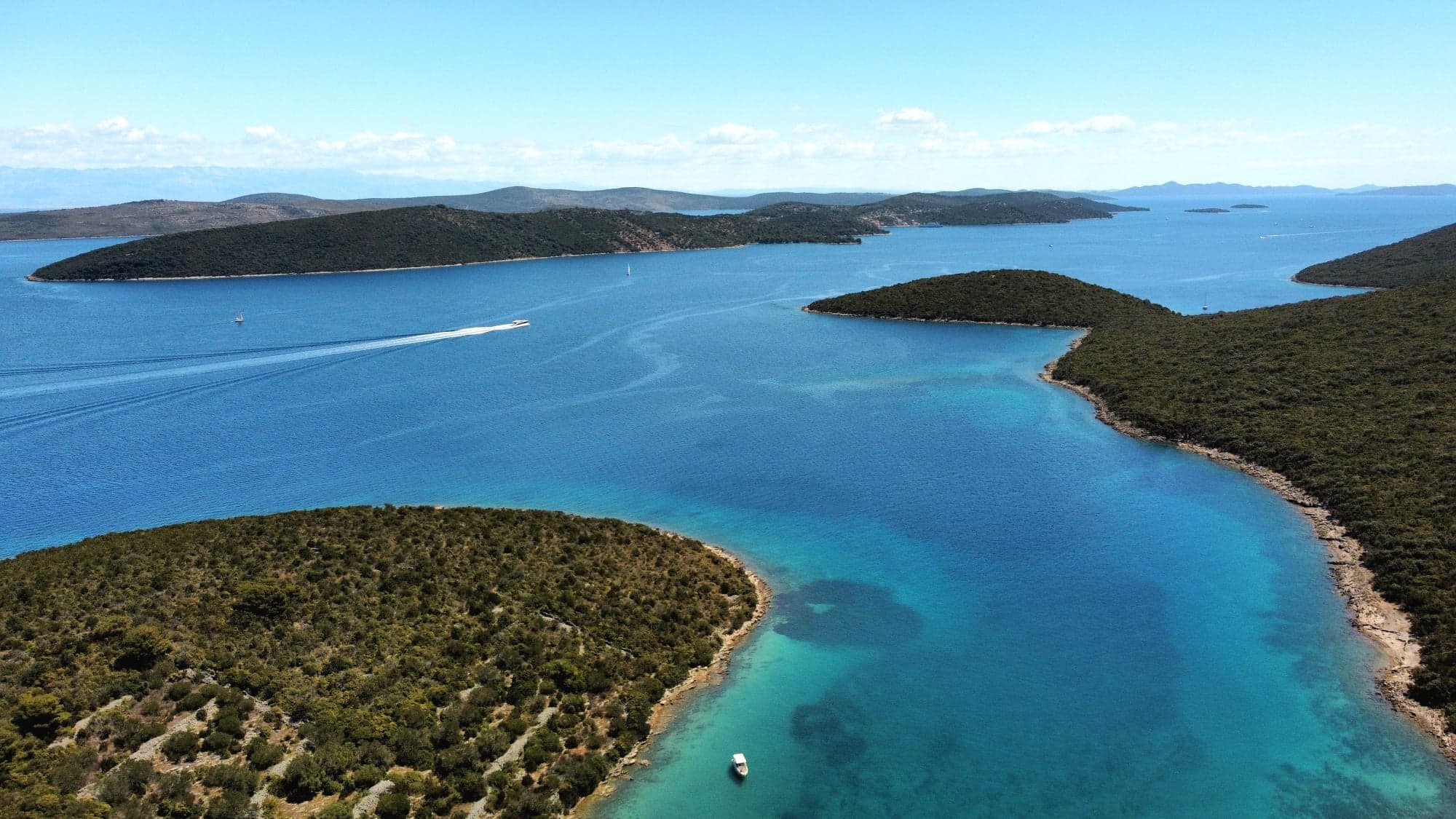 293593247_412033677383198_3271772755041521437_n (1).jpg