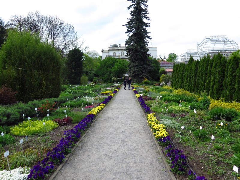 2019-05-04-16h25m41 (Custom).JPG