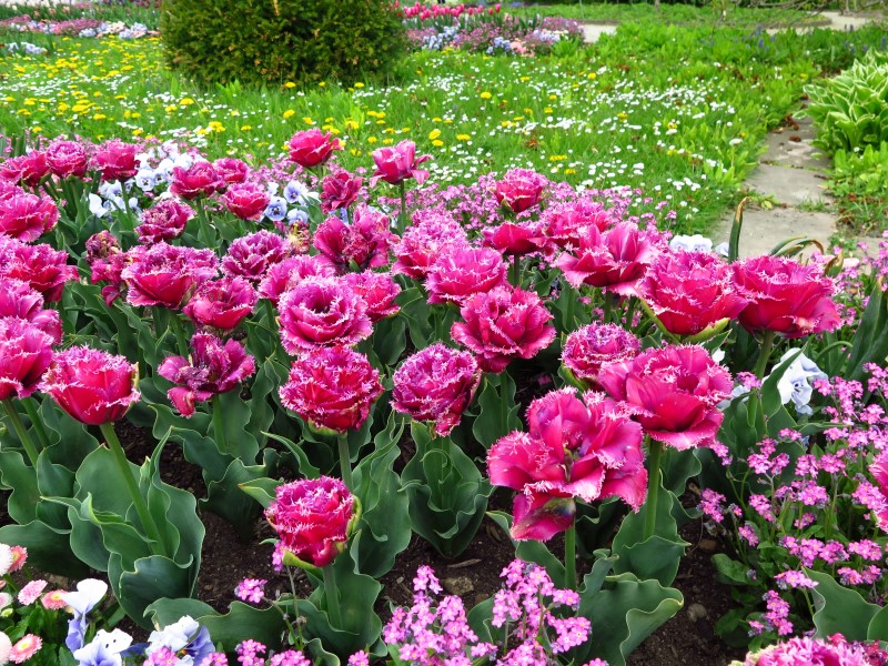 IMG_1297 (Custom).JPG