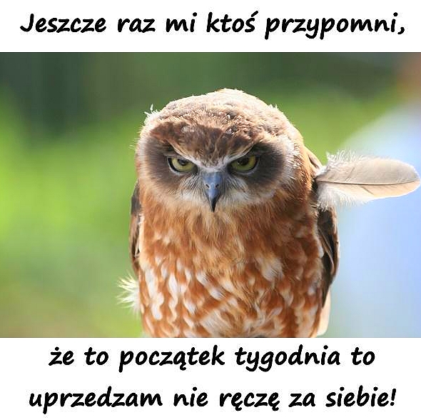 Poniedziałek_1.jpg