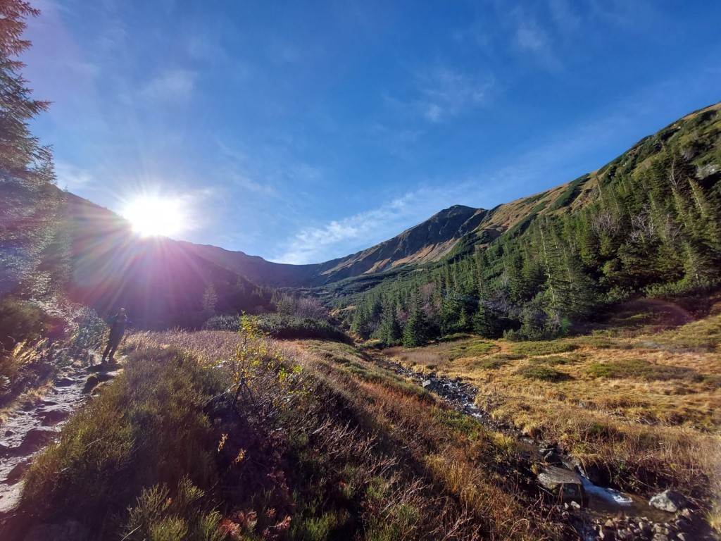 IMG-20221023-WA0006 (Custom).jpg