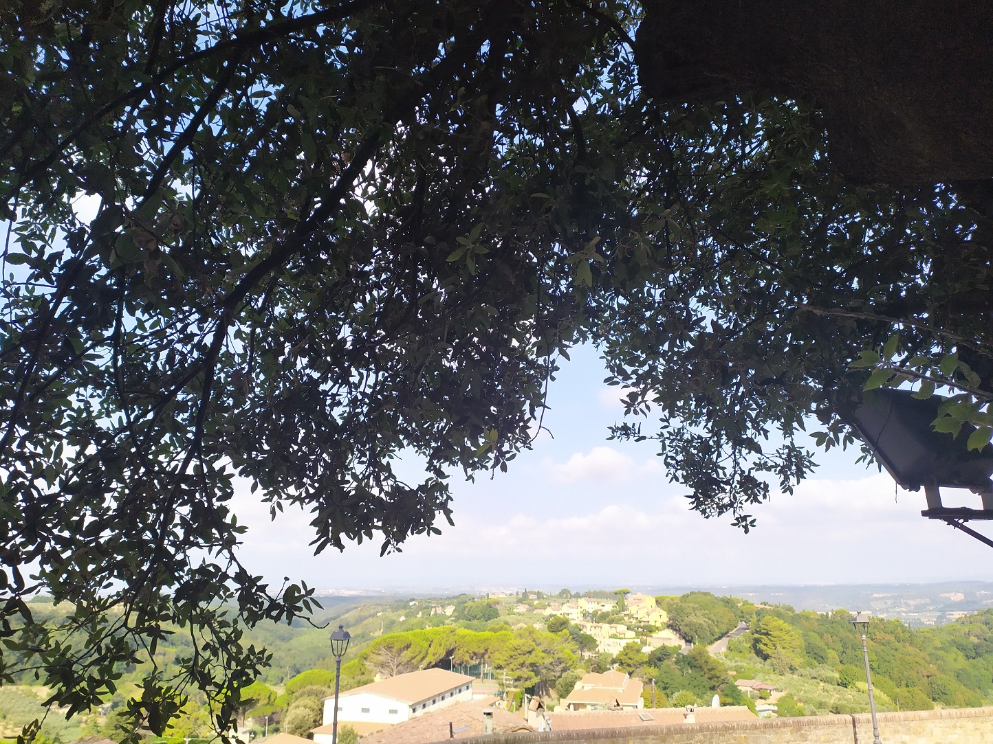 Widoki z mieszkanka / IMG_20220725_091103.jpg IMG_20220725_091103.jpg