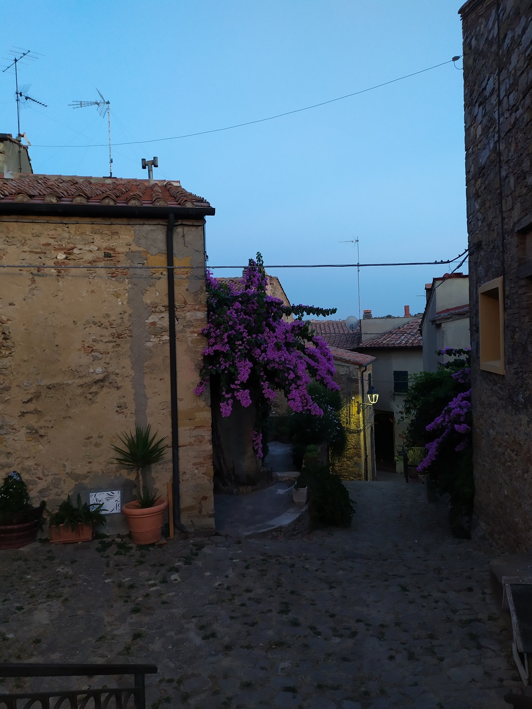 Spacery po Montescudaio / IMG_20220725_210216.jpg IMG_20220725_210216.jpg