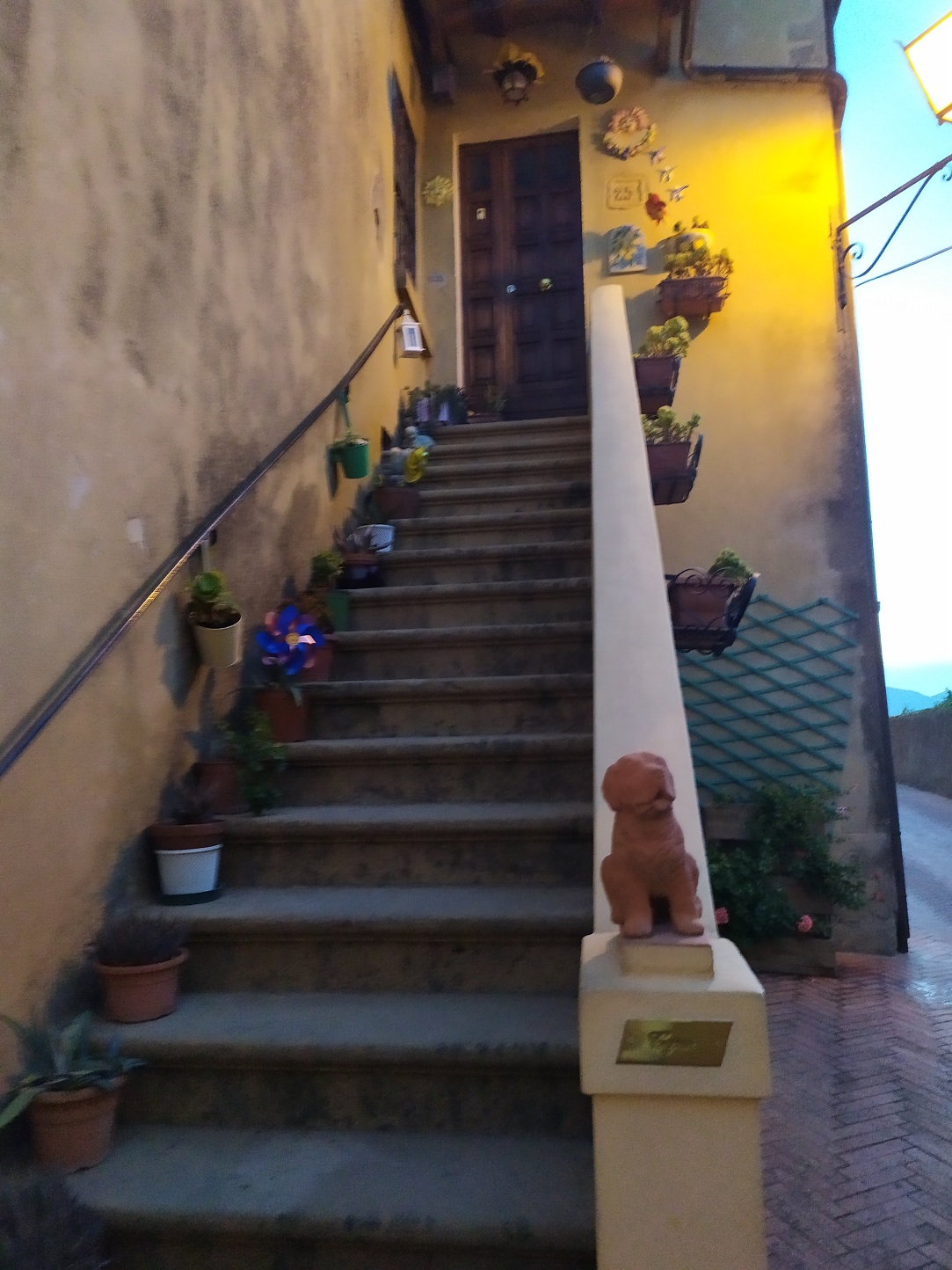 Spacery po Montescudaio / IMG_20220725_210312.jpg IMG_20220725_210312.jpg