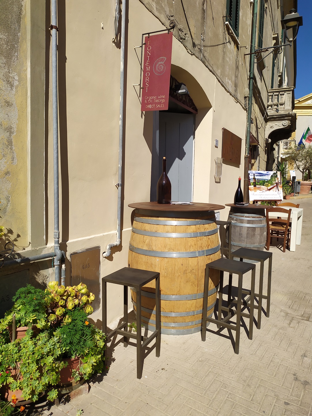 Spacery po Montescudaio / IMG_20220727_165510.jpg IMG_20220727_165510.jpg