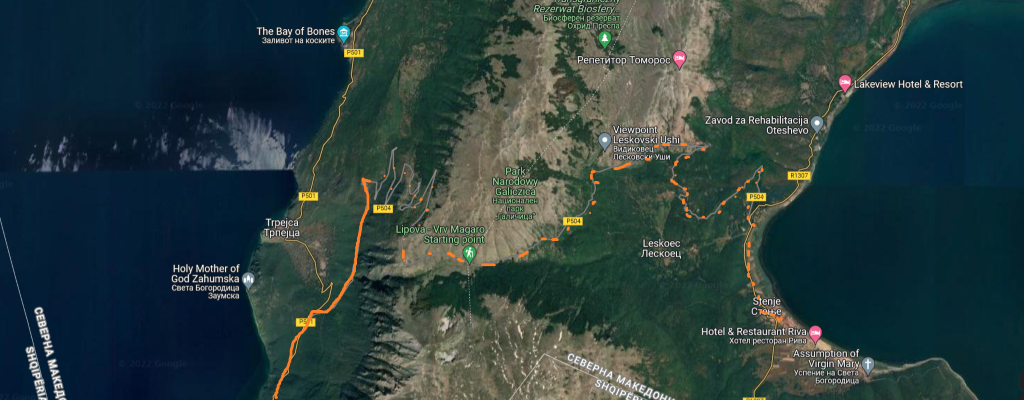 Galiczica (Custom).png