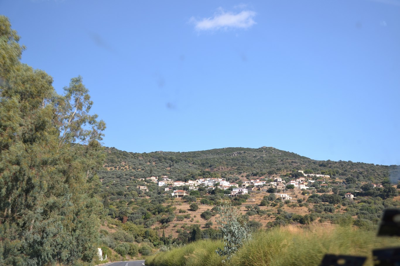 DSC_0047 (Kopiowanie).JPG