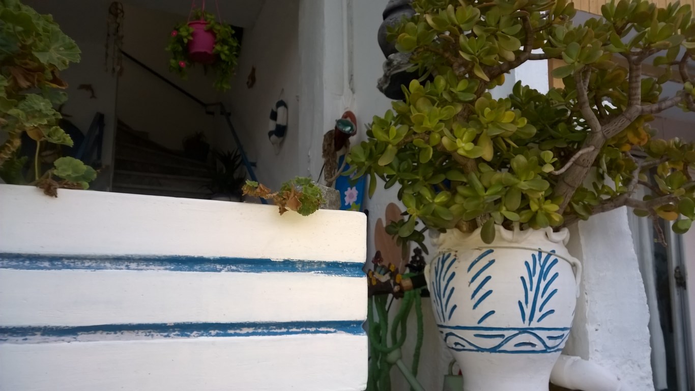 WP_20150917_094 (Kopiowanie).jpg