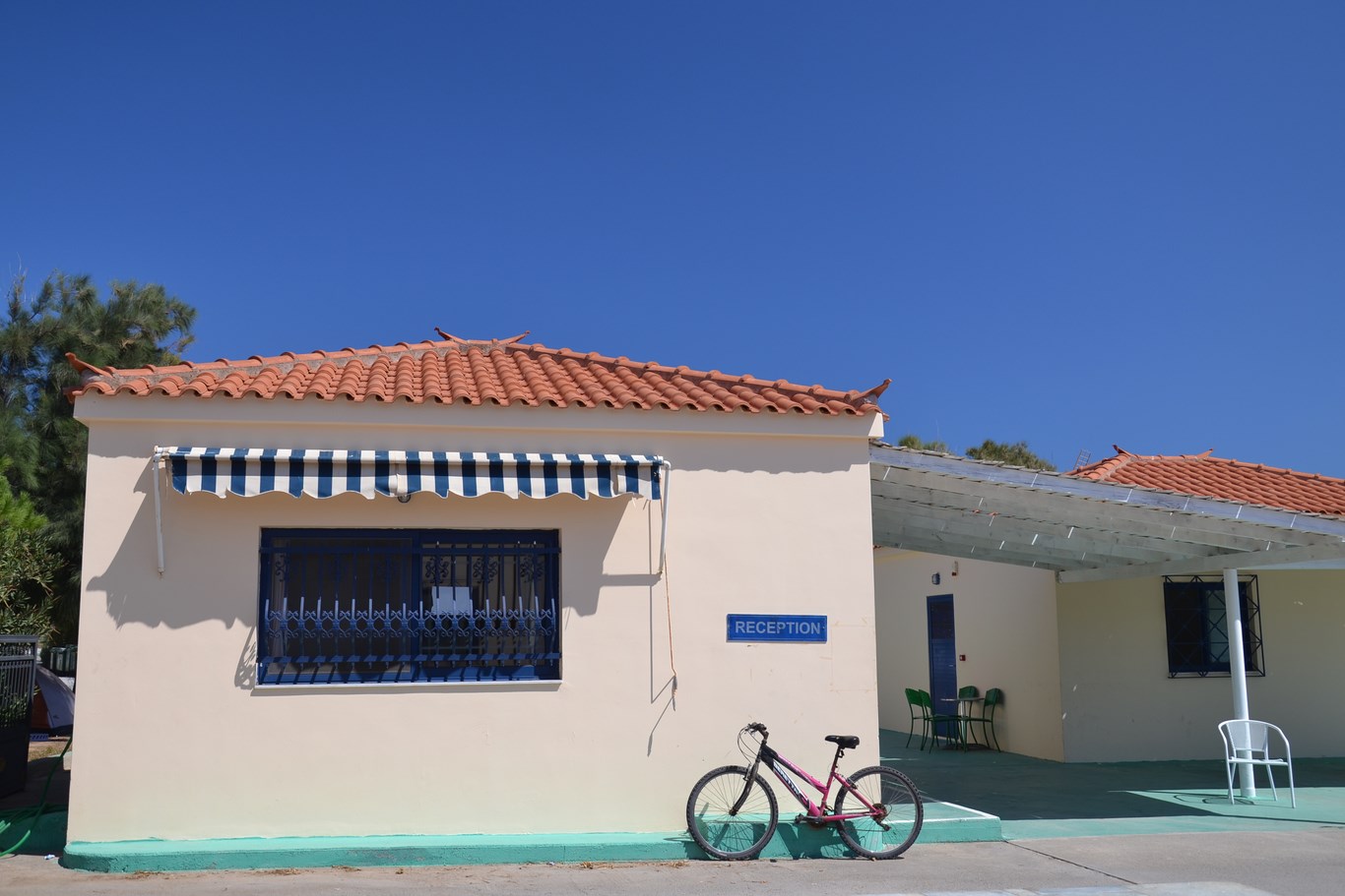 DSC_0323 (Kopiowanie).JPG