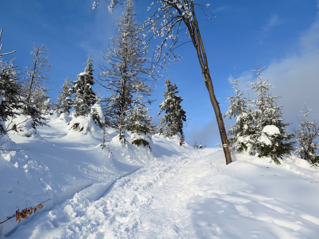 2023-02-12-15h26m14 (Custom).JPG