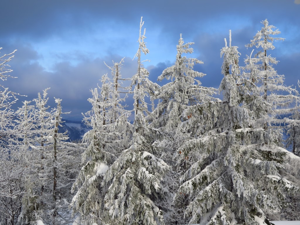 2023-02-12-15h35m07 (Custom).JPG