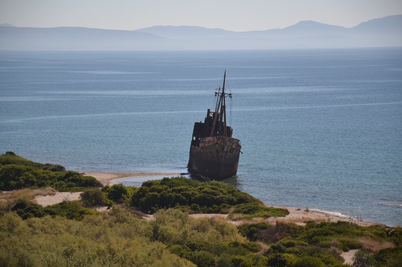 DSC_0436 (Kopiowanie).JPG