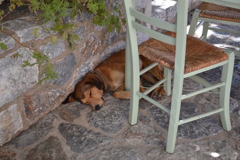 DSC_0534 (Kopiowanie).JPG