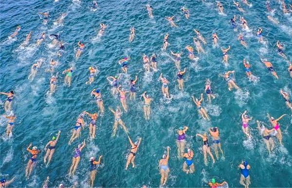 kierunek pływania.jpg