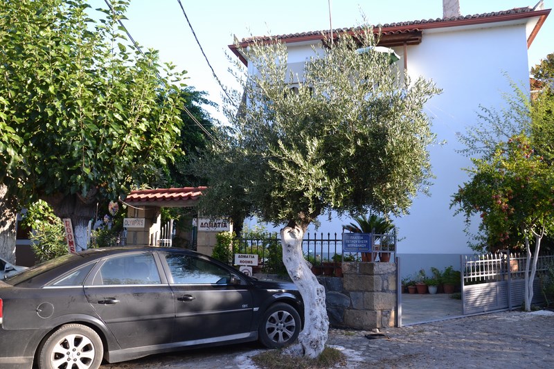 DSC_0100 (Kopiowanie).JPG