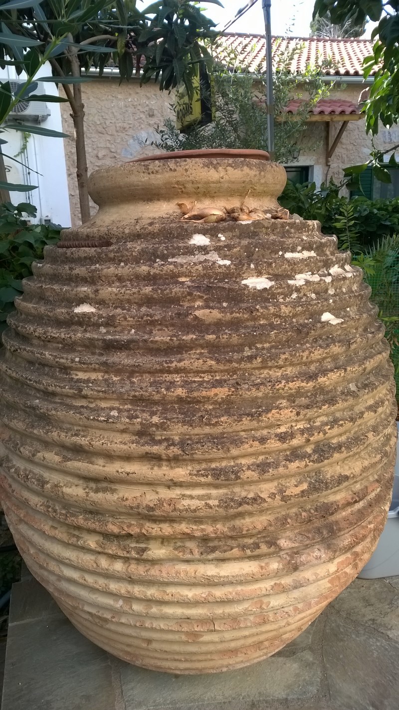 WP_20150919_004 (Kopiowanie).jpg