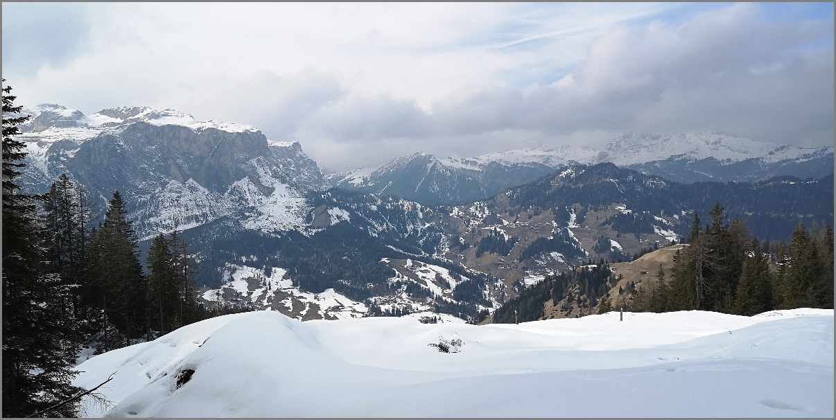 29-IMG_20230307_110043 .jpg