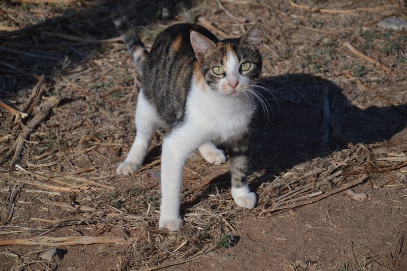 DSC_0122 (Kopiowanie).JPG