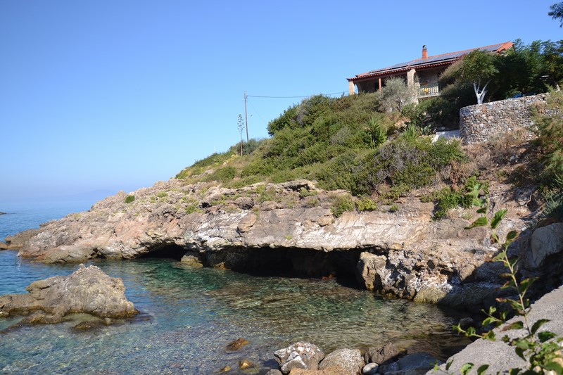 DSC_0131 (Kopiowanie).JPG