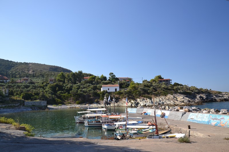 DSC_0133 (Kopiowanie).JPG