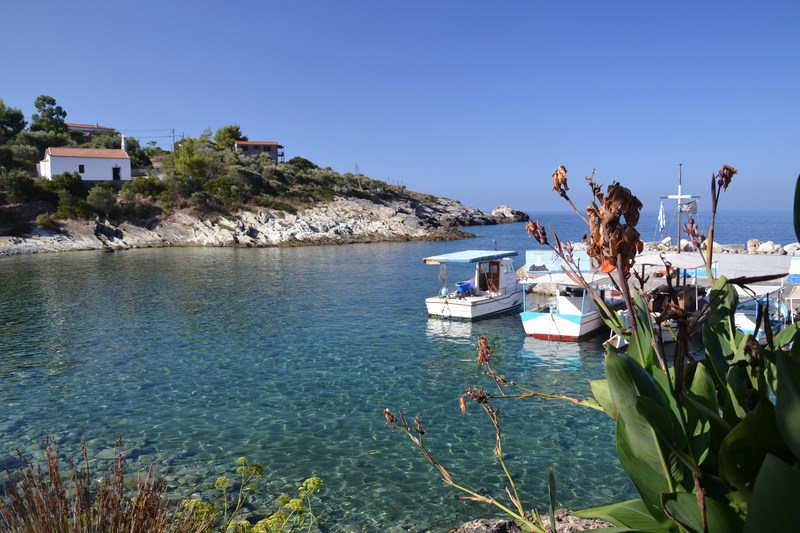 DSC_0143 (Kopiowanie).JPG