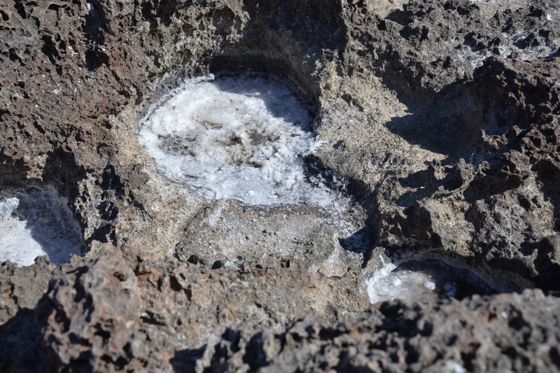 DSC_0217 (Kopiowanie).JPG