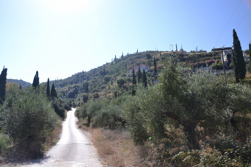 DSC_0276 (Kopiowanie).JPG